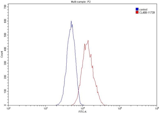 [CL488-11739-100UL] CoraLite®488-conjugated ASGR1 Polyclonal antibody