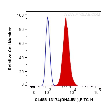 [CL488-13174-100UL] CoraLite®488-conjugated DNAJB1 Polyclonal antibody