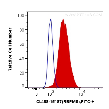 [CL488-15187-100UL] CoraLite®488-conjugated RBPMS Polyclonal antibody