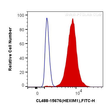 [CL488-15676-100UL] CoraLite®488-conjugated HEXIM1 Polyclonal antibody
