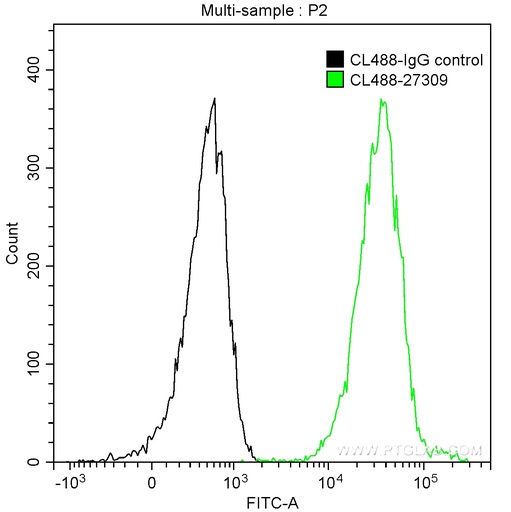 [CL488-27309-100UL] CoraLite®488-conjugated KI67 Polyclonal antibody