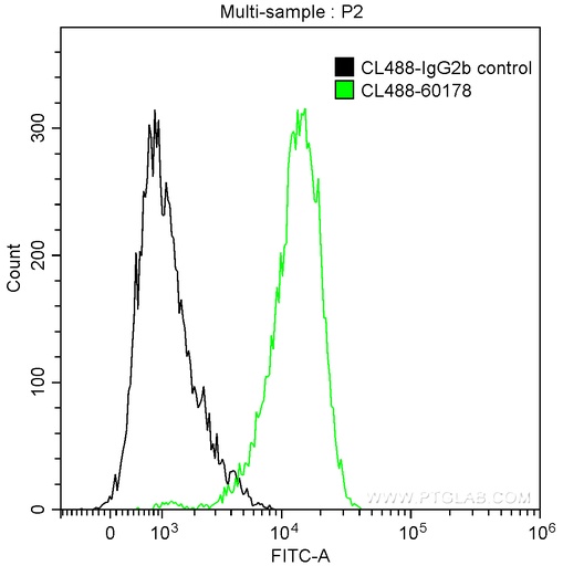 [CL488-60178-100UL] CoraLite®488-conjugated BCL2 Monoclonal antibody