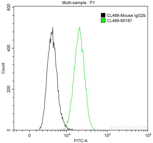 [CL488-60187-100UL] CoraLite®488-conjugated Cytokeratin 19 Monoclonal antibody