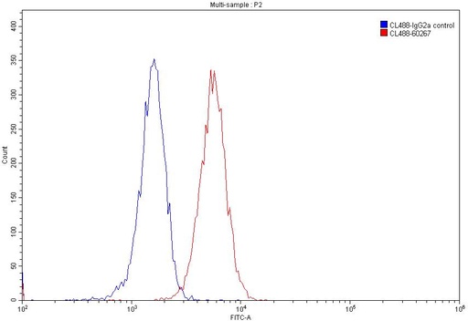 [CL488-60267-100UL] CoraLite®488-conjugated BAX Monoclonal antibody