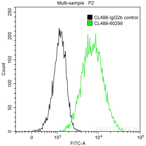 [CL488-60299-100UL] CoraLite®488-conjugated ICAM-1 Monoclonal antibody
