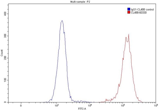 [CL488-60330-100UL] CoraLite®488-conjugated Vimentin Monoclonal antibody