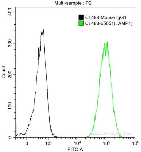 [CL488-65051-100TESTS] CoraLite®488 Anti-Human CD107a (H4A3)
