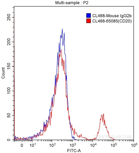 [CL488-65085-100TESTS] CoraLite®488 Anti-Human CD20 (2H7)