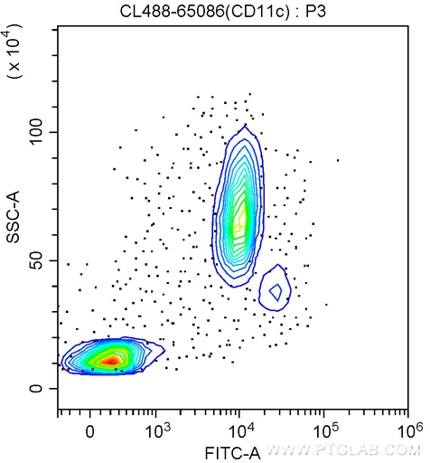 [CL488-65086-100TESTS] CoraLite®488 Anti-Human CD11c (3.9)