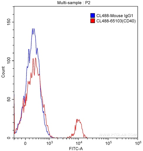 [CL488-65103-100TESTS] CoraLite®488 Anti-Human CD40 (G28.5)