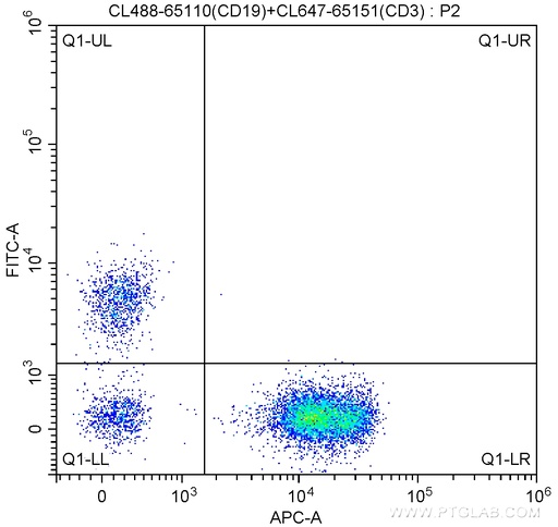 [CL488-65110-100TESTS] CoraLite®488 Anti-Human CD19 (HIB19)