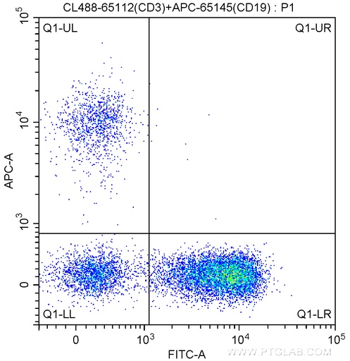 [CL488-65112-100TESTS] CoraLite®488 Anti-Human CD3 (Hit3a)