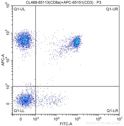 [CL488-65113-100TESTS] CoraLite®488 Anti-Human CD8a (Hit8a)