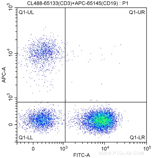 [CL488-65133-100TESTS] CoraLite®488 Anti-Human CD3 (OKT3)