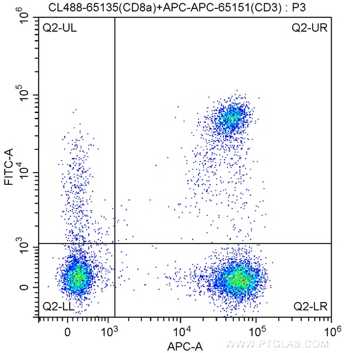[CL488-65135-100TESTS] CoraLite®488 Anti-Human CD8a (OKT8)