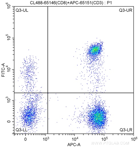 [CL488-65146-100TESTS] CoraLite®488 Anti-Human CD8 (SK1)