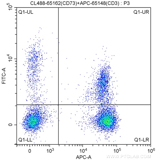 [CL488-65162-100TESTS] CoraLite®488 Anti-Human CD73 (AD2)