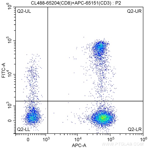[CL488-65204-100TESTS] CoraLite®488 Anti-Human CD8 (UCHT4)
