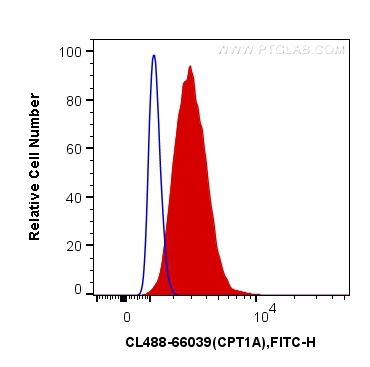 [CL488-66039-100UL] CoraLite®488-conjugated CPT1A Monoclonal antibody