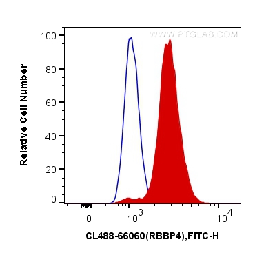 [CL488-66060-100UL] CoraLite®488-conjugated RBAP48 Monoclonal antibody