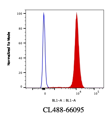 [CL488-66095-100UL] CoraLite®488-conjugated Lamin B1 Monoclonal antibody