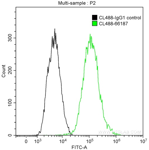 [CL488-66187-100UL] CoraLite®488-conjugated Cytokeratin 18 Monoclonal antibody