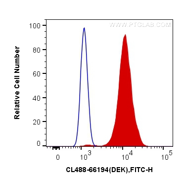 [CL488-66194-100UL] CoraLite®488-conjugated DEK Monoclonal antibody