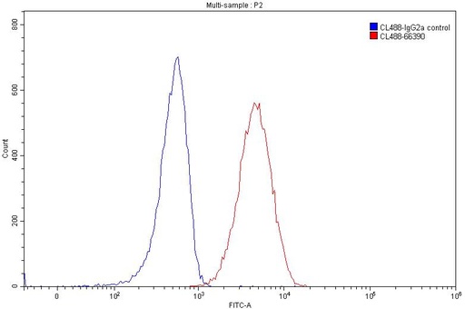 [CL488-66390-100UL] CoraLite®488-conjugated CD74 Monoclonal antibody