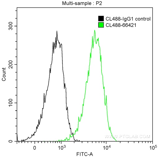 [CL488-66421-100UL] CoraLite®488-conjugated PKC Alpha Monoclonal antibody