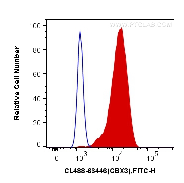 [CL488-66446-100UL] CoraLite®488-conjugated CBX3 Monoclonal antibody