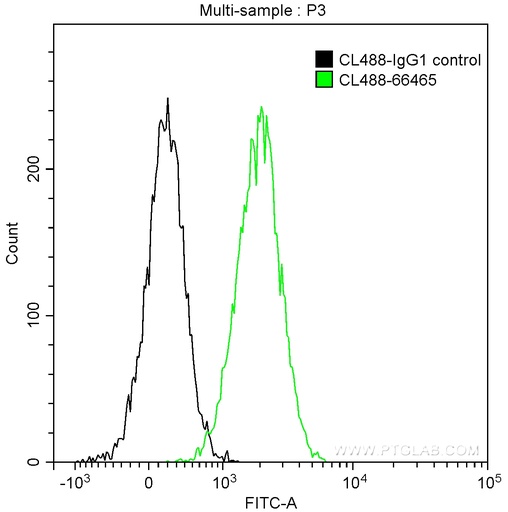 [CL488-66465-100UL] CoraLite®488-conjugated SLP76 Monoclonal antibody