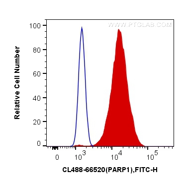 [CL488-66520-100UL] CoraLite®488-conjugated PARP1 Monoclonal antibody