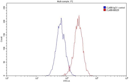 [CL488-66529-100UL] CoraLite®488-conjugated FCGR2A / CD32a Monoclonal antibody