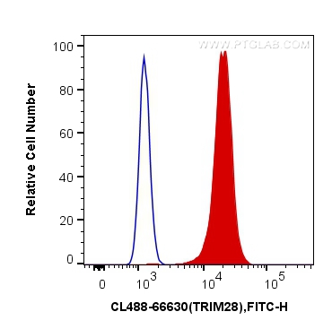 [CL488-66630-100UL] CoraLite®488-conjugated KAP1 Monoclonal antibody