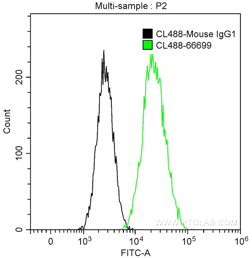 [CL488-66699-100UL] CoraLite®488-conjugated ACE2 Monoclonal antibody