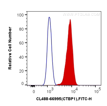 [CL488-66995-100UL] CoraLite®488-conjugated CTBP1 Monoclonal antibody