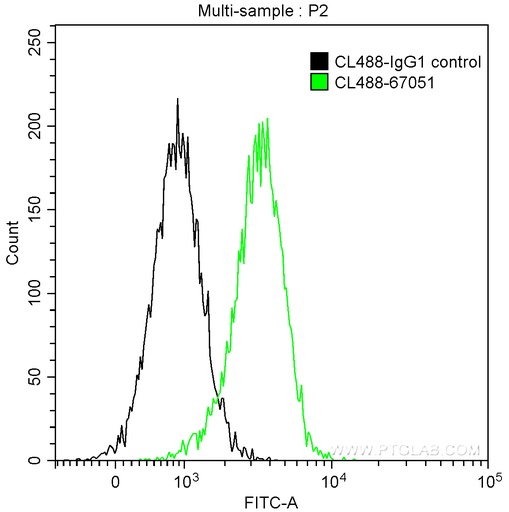 [CL488-67051-100UL] CoraLite®488-conjugated IL-4R Monoclonal antibody