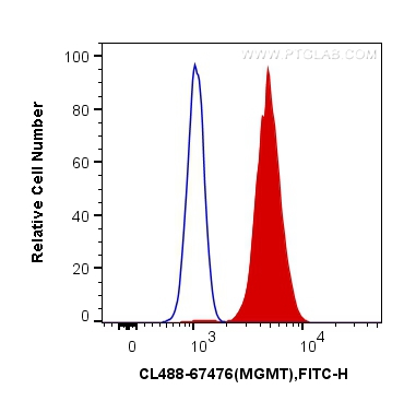 [CL488-67476-100UL] CoraLite®488-conjugated MGMT Monoclonal antibody