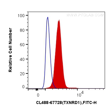 [CL488-67728-100UL] CoraLite®488-conjugated TXNRD1 Monoclonal antibody