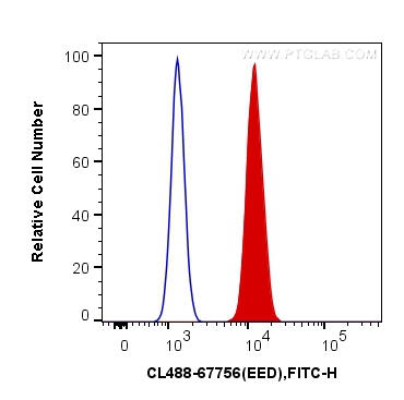 [CL488-67756-100UL] CoraLite®488-conjugated EED Monoclonal antibody