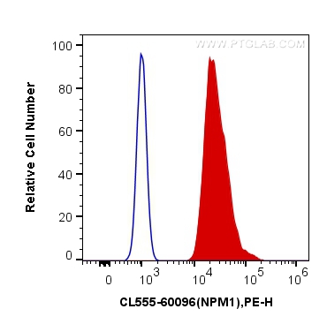 [CL555-60096-100UL] CoraLite®555-conjugated B23/NPM1 Monoclonal antibody