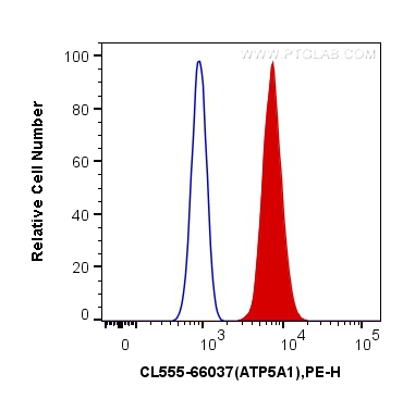 [CL555-66037-100UL] CoraLite®555-conjugated ATP5A1 Monoclonal antibody