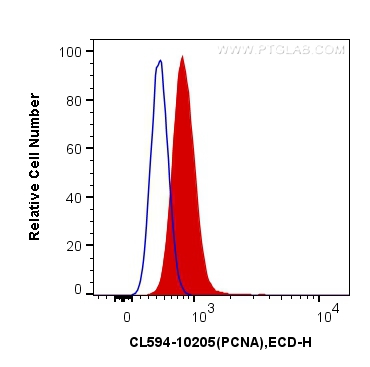 [CL594-10205-100UL] CoraLite®594-conjugated PCNA Polyclonal antibody