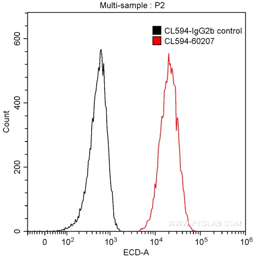 [CL594-60207-100UL] CoraLite®594-conjugated Galectin-3 Monoclonal antibody