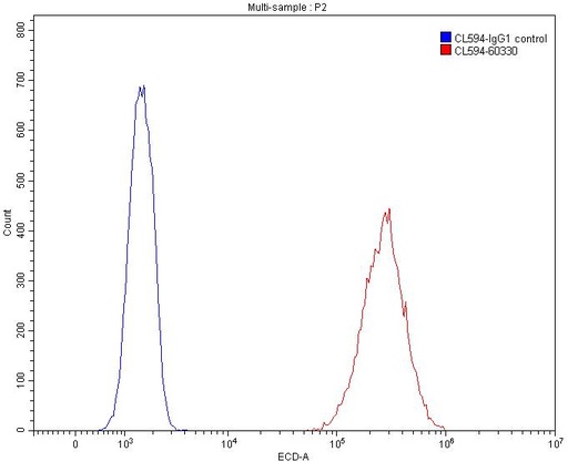 [CL594-60330-100UL] CoraLite®594-conjugated Vimentin Monoclonal antibody