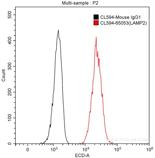 [CL594-65053-100TESTS] CoraLite®594 Anti-Human CD107b (H4B4)