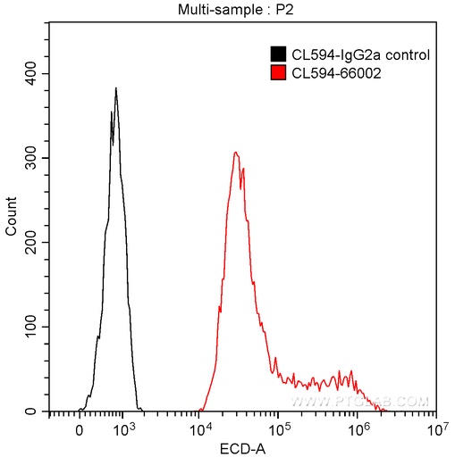 [CL594-66002-100UL] CoraLite®594-conjugated GFP tag Monoclonal antibody