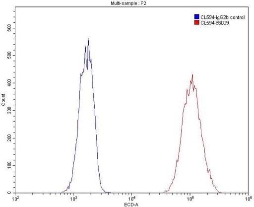 [CL594-66009-100UL] CoraLite®594-conjugated Beta Actin Monoclonal antibody