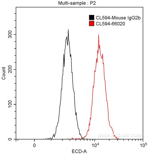 [CL594-66020-100UL] CoraLite®594-conjugated Bcl-XL Monoclonal antibody