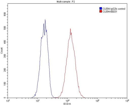 [CL594-66031-100UL] CoraLite®594-conjugated Alpha Tubulin Monoclonal antibody